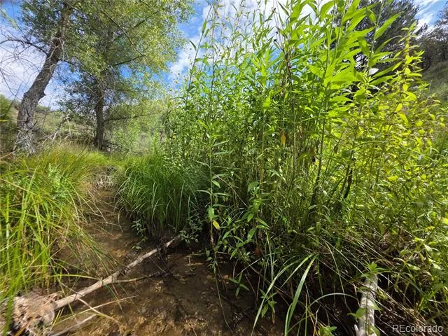 291 County Road 51 Cotopaxi, CO 81223