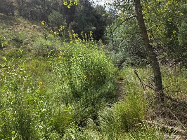 291 County Road 51 Cotopaxi, CO 81223