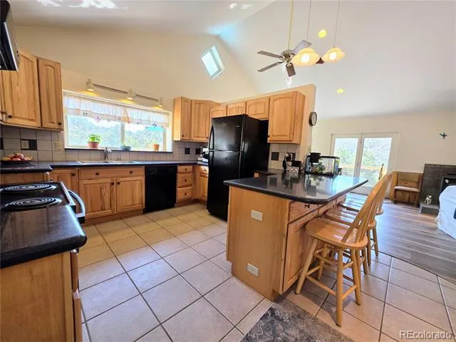 291 County Road 51 Cotopaxi, CO 81223