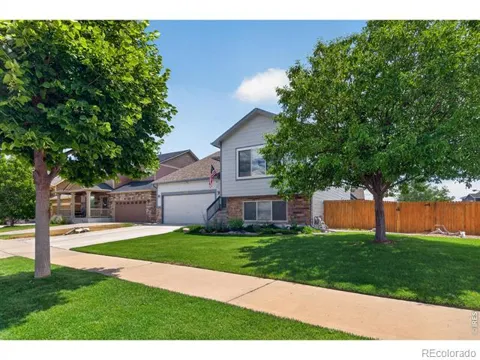 3445 Yule Trail Drive