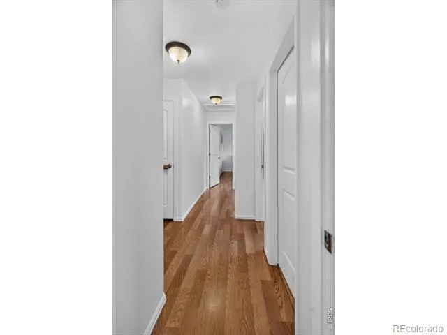 3445 Yule Trail Drive Fort Collins, CO 80524