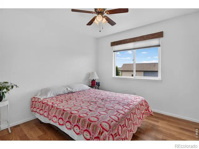 3445 Yule Trail Drive Fort Collins, CO 80524