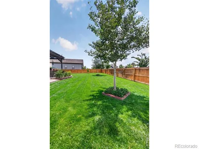 3445 Yule Trail Drive Fort Collins, CO 80524