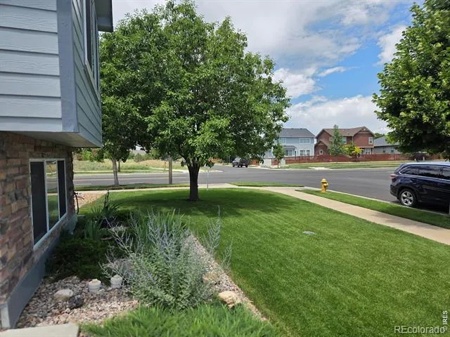 3445 Yule Trail Drive Fort Collins, CO 80524