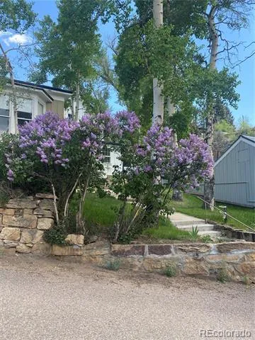 202 E 1st High Street Central City, CO 80427