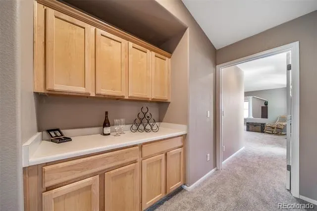 16533 Red Brush Place Parker, CO 80134