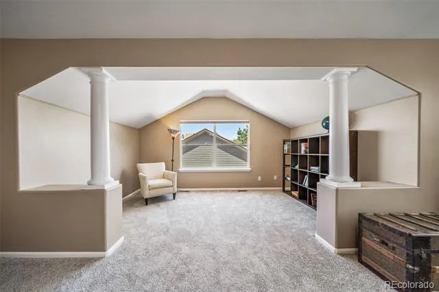 16533 Red Brush Place Parker, CO 80134