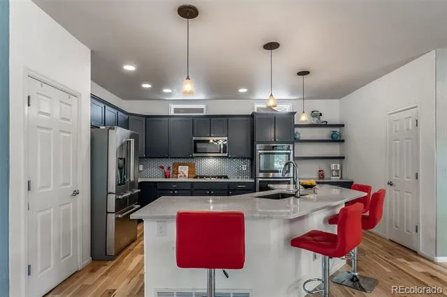 16533 Red Brush Place Parker, CO 80134