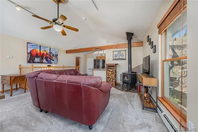 15970 Willow Way Woodland Park, CO 80863