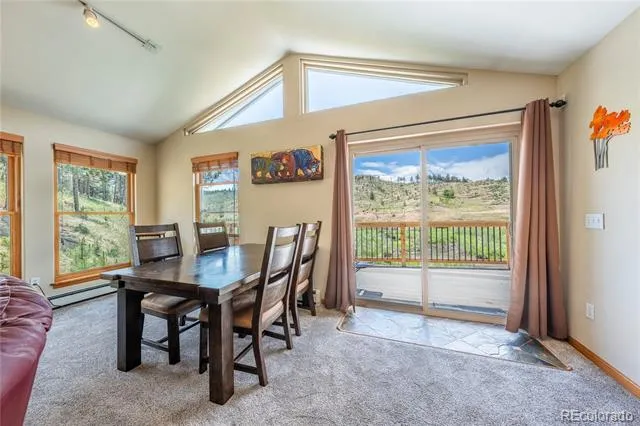 15970 Willow Way Woodland Park, CO 80863