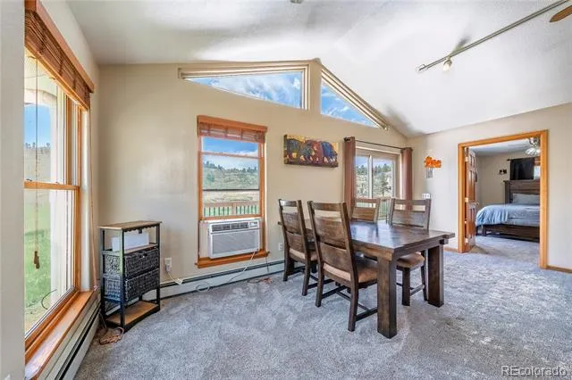 15970 Willow Way Woodland Park, CO 80863