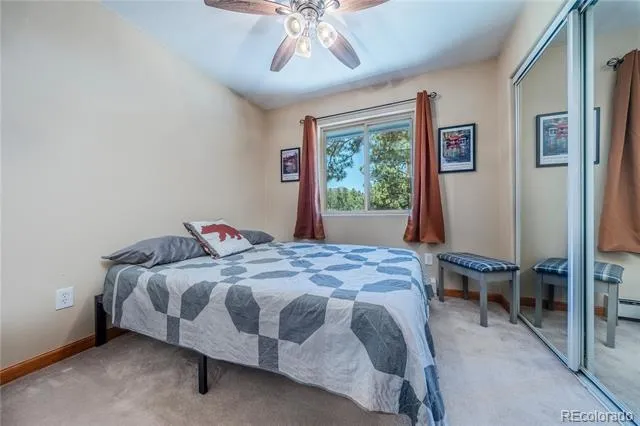 15970 Willow Way Woodland Park, CO 80863