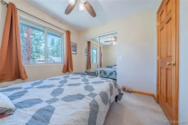 15970 Willow Way Woodland Park, CO 80863