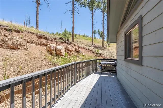 15970 Willow Way Woodland Park, CO 80863