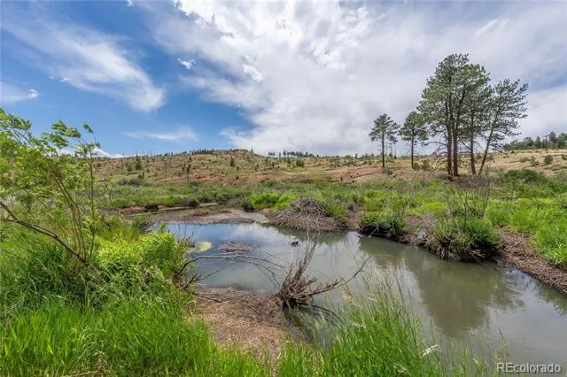 15970 Willow Way Woodland Park, CO 80863