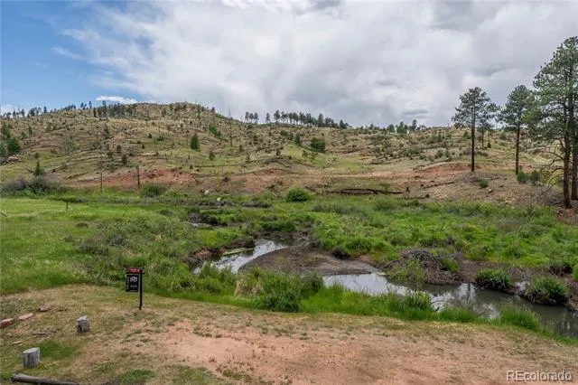 15970 Willow Way Woodland Park, CO 80863