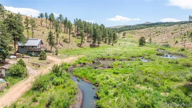 15970 Willow Way Woodland Park, CO 80863