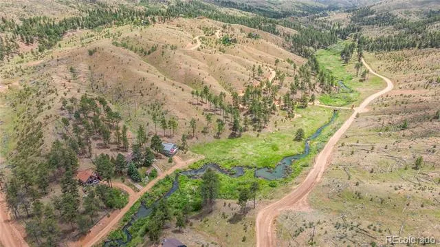 15970 Willow Way Woodland Park, CO 80863