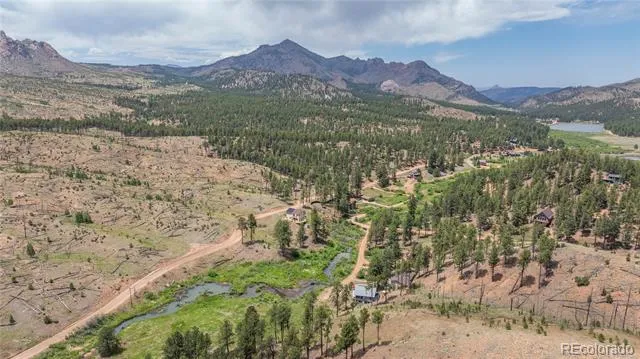 15970 Willow Way Woodland Park, CO 80863