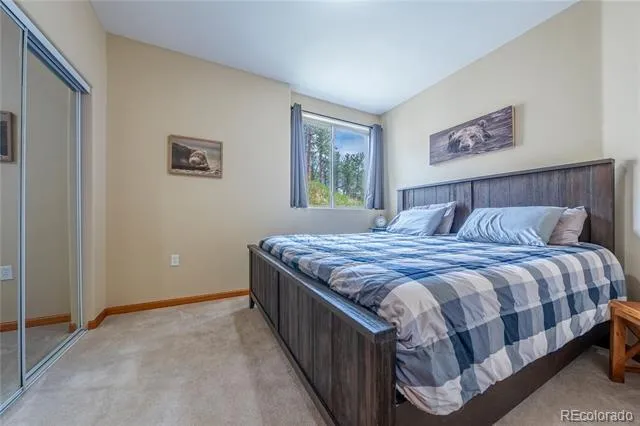 15970 Willow Way Woodland Park, CO 80863