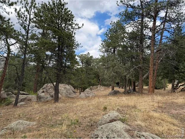 8 Estes Park Estates Drive Lyons, CO 80540