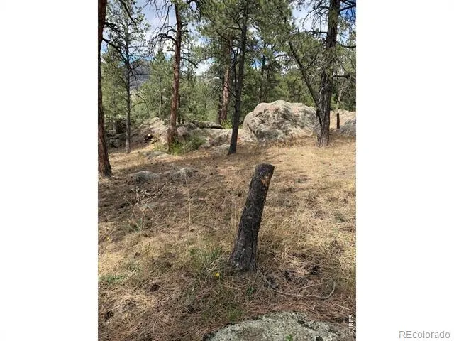 8 Estes Park Estates Drive Lyons, CO 80540