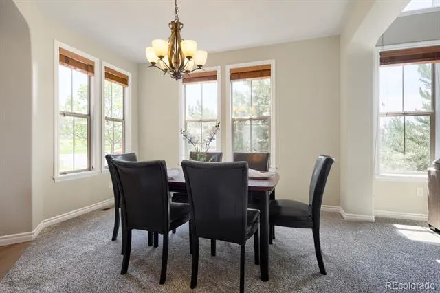 9421 Viaggio Way Highlands Ranch, CO 80126