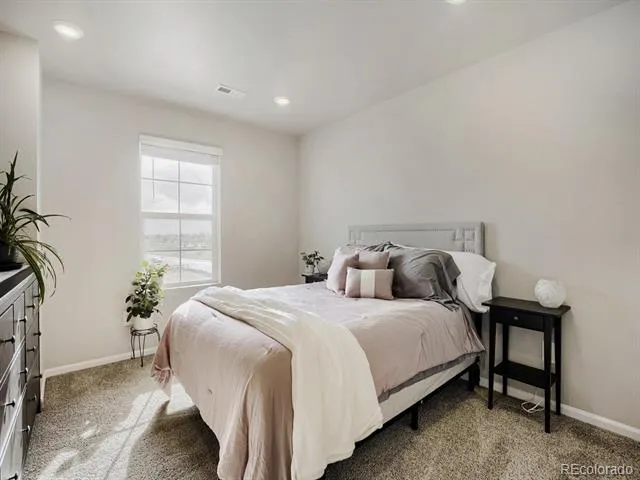 1642 Colorado River Drive Windsor, CO 80550
