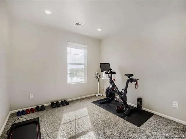1642 Colorado River Drive Windsor, CO 80550