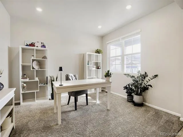 1642 Colorado River Drive Windsor, CO 80550