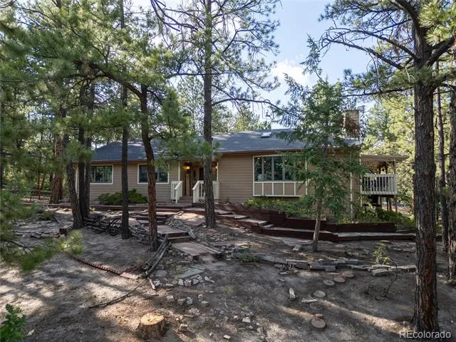 545 Tenderfoot Drive Larkspur, CO 80118