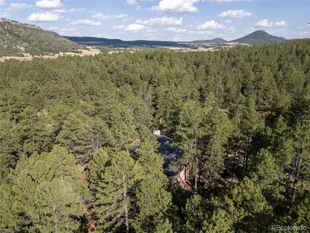 545 Tenderfoot Drive Larkspur, CO 80118