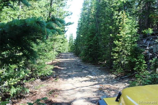 Lot 18 Hidden Wildernes Road Idaho Springs, CO 80461