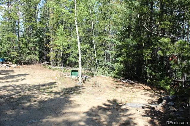 Lot 18 Hidden Wildernes Road Idaho Springs, CO 80461