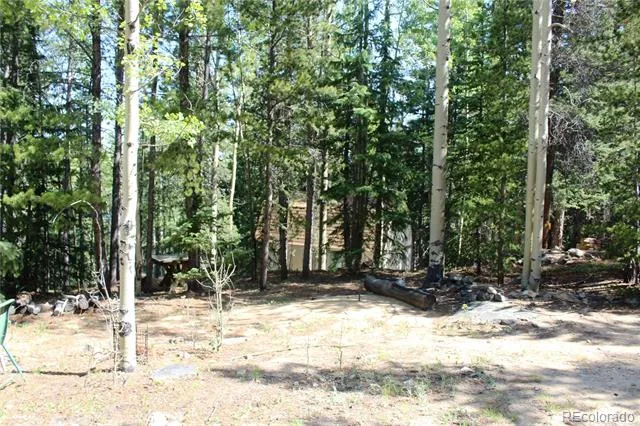 Lot 18 Hidden Wildernes Road Idaho Springs, CO 80461