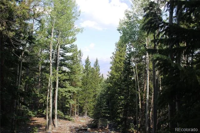 Lot 18 Hidden Wildernes Road Idaho Springs, CO 80461