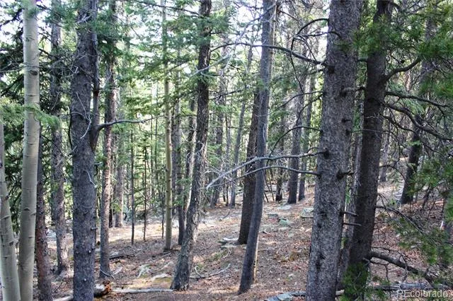 Lot 18 Hidden Wildernes Road Idaho Springs, CO 80461