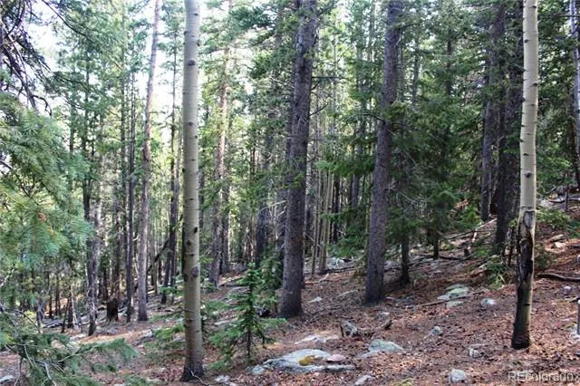 Lot 18 Hidden Wildernes Road Idaho Springs, CO 80461
