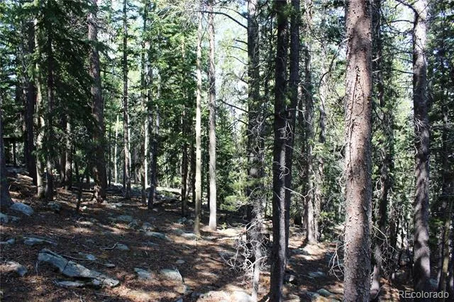 Lot 18 Hidden Wildernes Road Idaho Springs, CO 80461