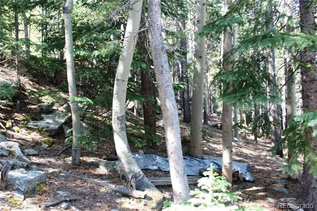 Lot 18 Hidden Wildernes Road Idaho Springs, CO 80461