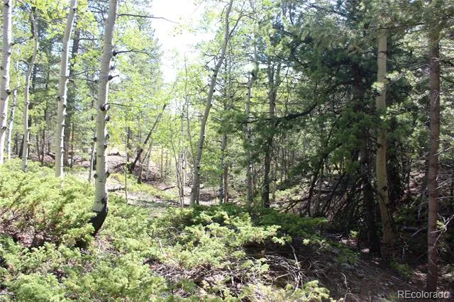 6050 Virginia Canyon Road Central City, CO 80427