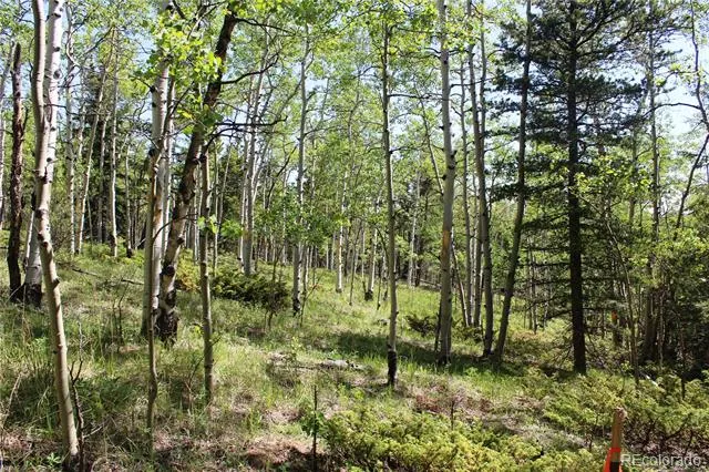 6050 Virginia Canyon Road Central City, CO 80427