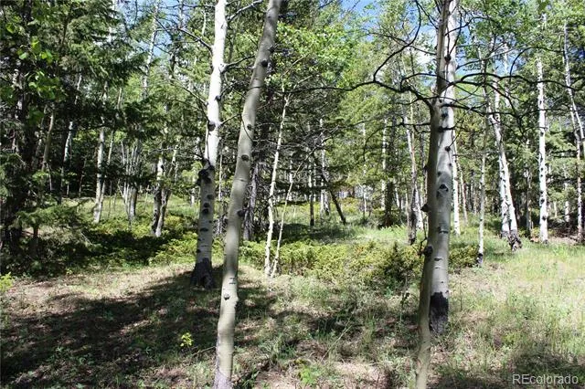 6050 Virginia Canyon Road Central City, CO 80427