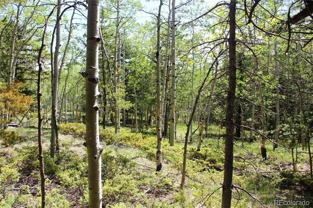6050 Virginia Canyon Road Central City, CO 80427
