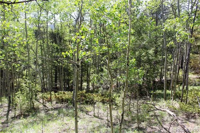 6050 Virginia Canyon Road Central City, CO 80427