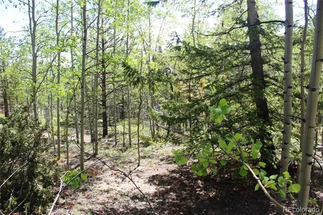 6050 Virginia Canyon Road Central City, CO 80427