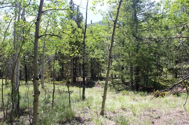 6050 Virginia Canyon Road Central City, CO 80427