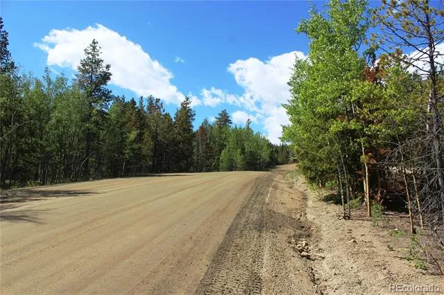 6050 Virginia Canyon Road Central City, CO 80427
