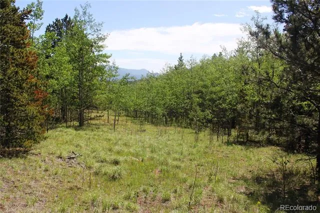 6050 Virginia Canyon Road Central City, CO 80427