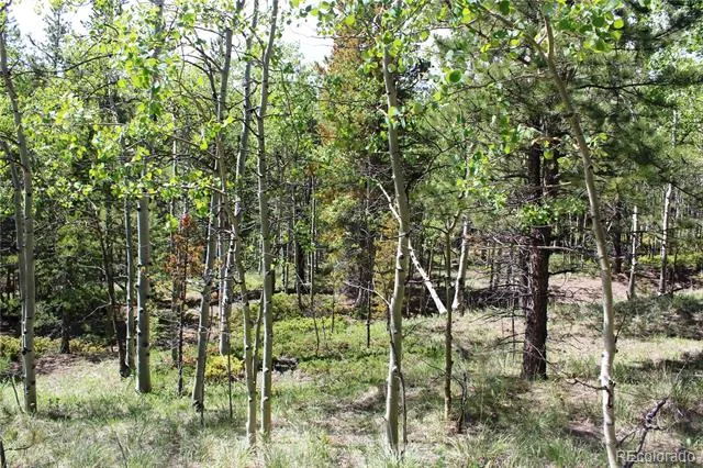 6050 Virginia Canyon Road Central City, CO 80427